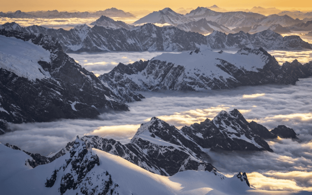 The people who change the way you see New Zealand
